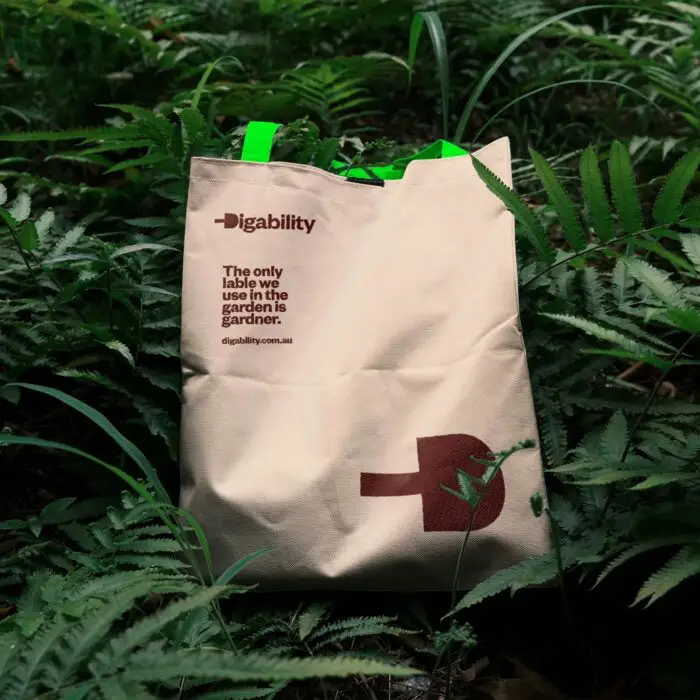 Website Design Agency, Digability - Bangalow